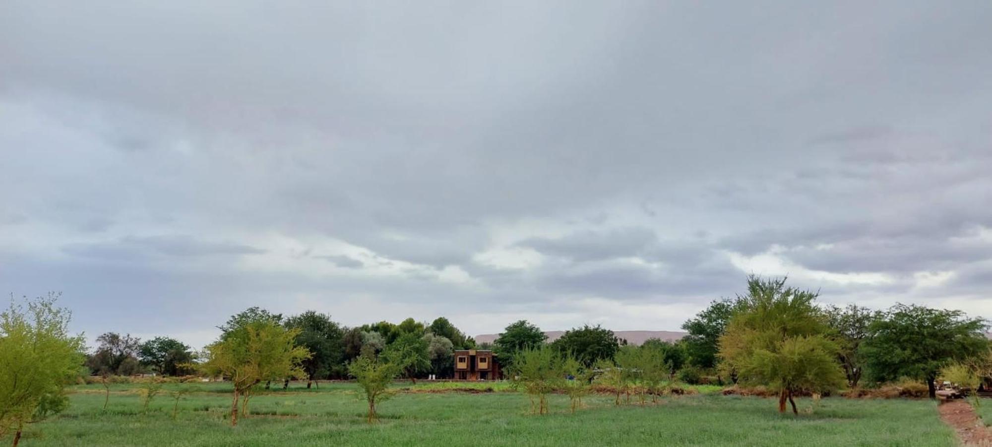 Foresta Atacama Lodge San Pedro de Atacama Eksteriør billede