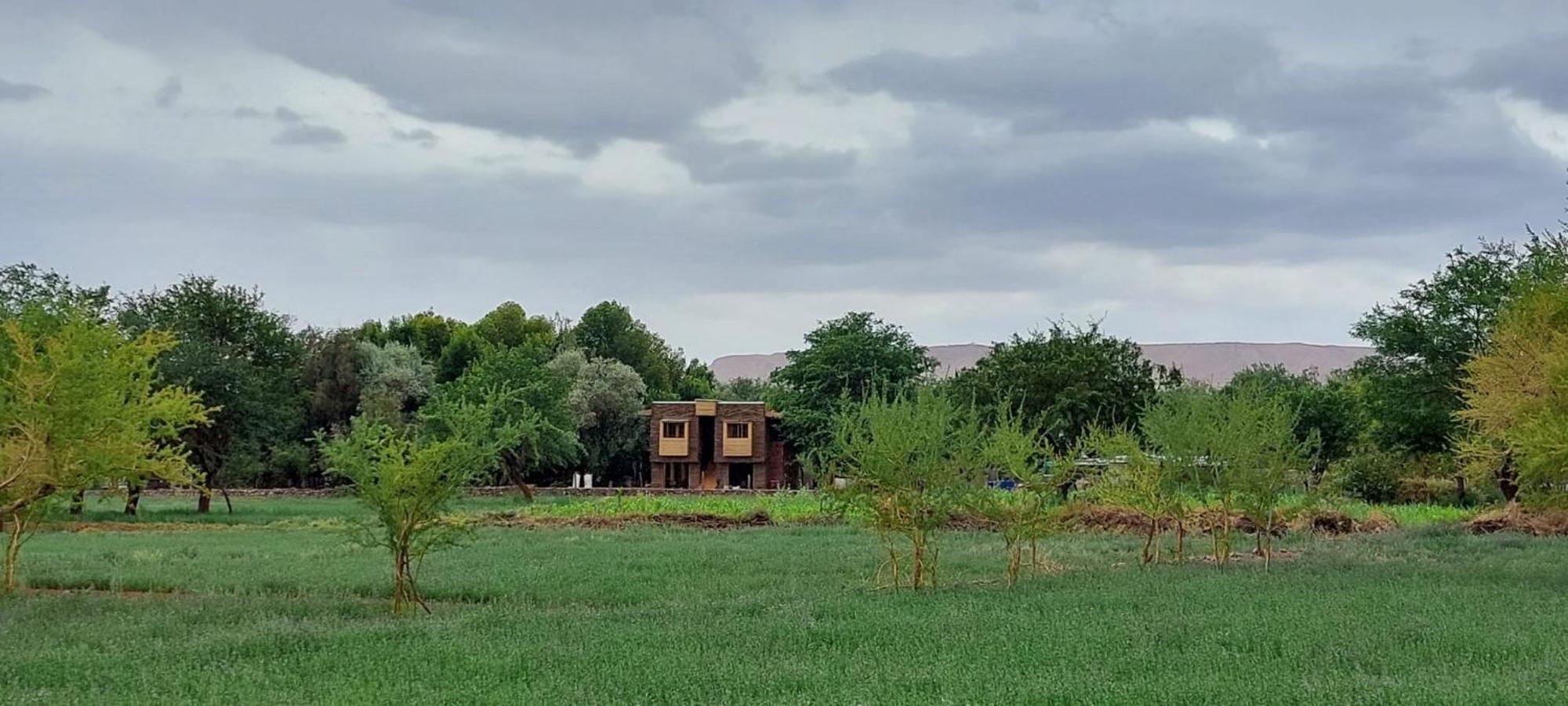 Foresta Atacama Lodge San Pedro de Atacama Eksteriør billede